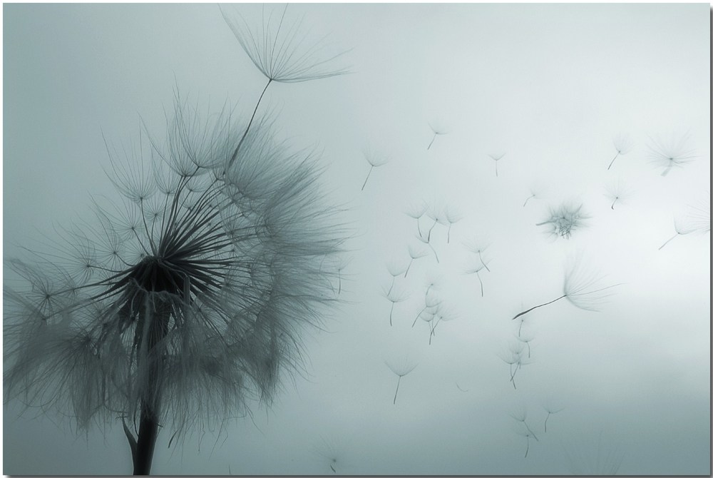 sapienza – in&nbsp;conclusione