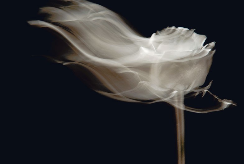 la morte non è&nbsp;niente