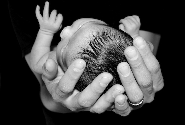 fedeli alla carne…