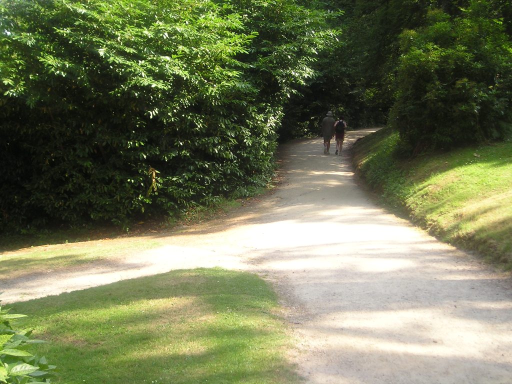 sulla strada –&nbsp;ripresa