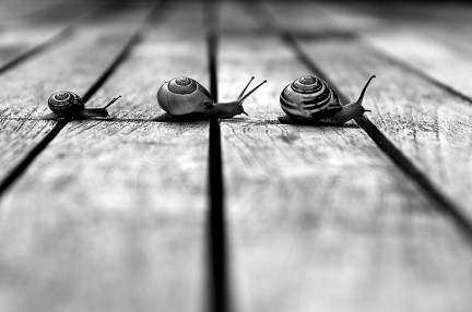 la carità è&nbsp;paziente