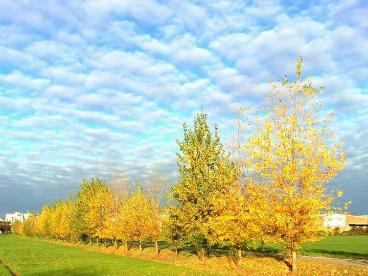 Quanti anni ho,&nbsp;io?