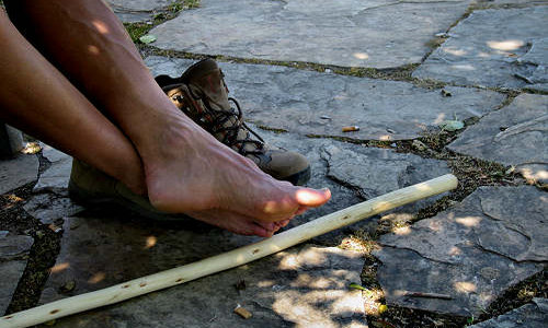 dove andremo a&nbsp;finire?