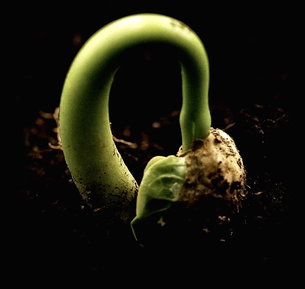 la prima e l’ultima&nbsp;pioggia