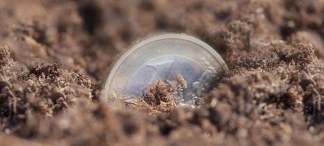 la vita è una&nbsp;scommessa