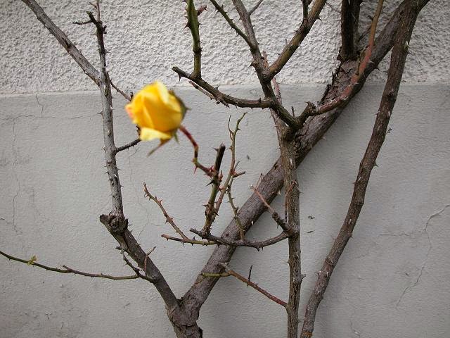 La felicità è una&nbsp;scelta!