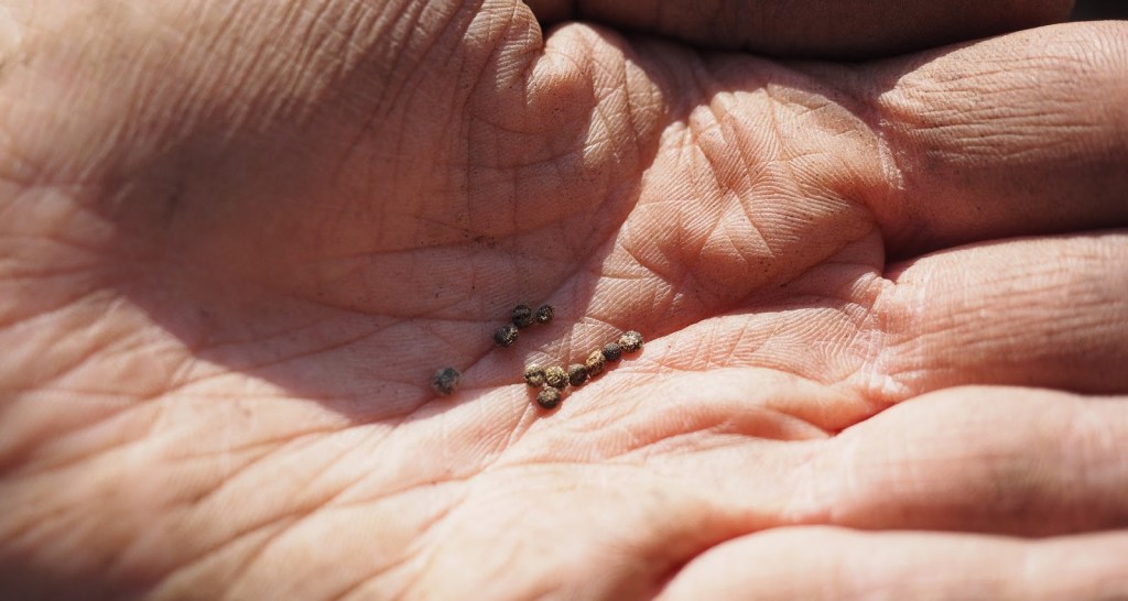 il bello di certe&nbsp;amicizie