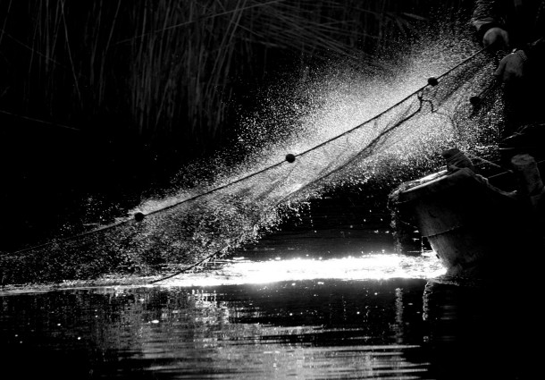 intrappolati dalla rete