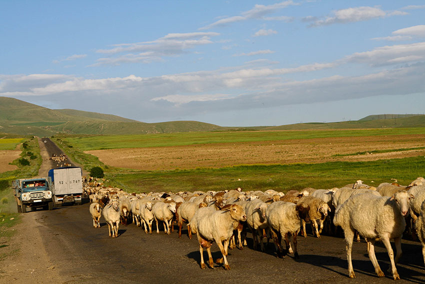 con passo placido…