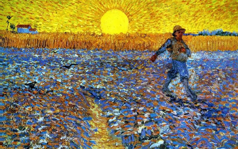 oggi è tempo di&nbsp;semina