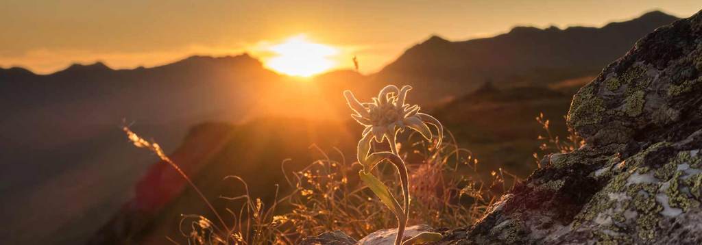 in attesa di un’alba&nbsp;nuova