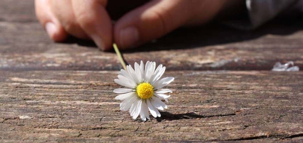 prendiamoci cura gli uni degli altri!
