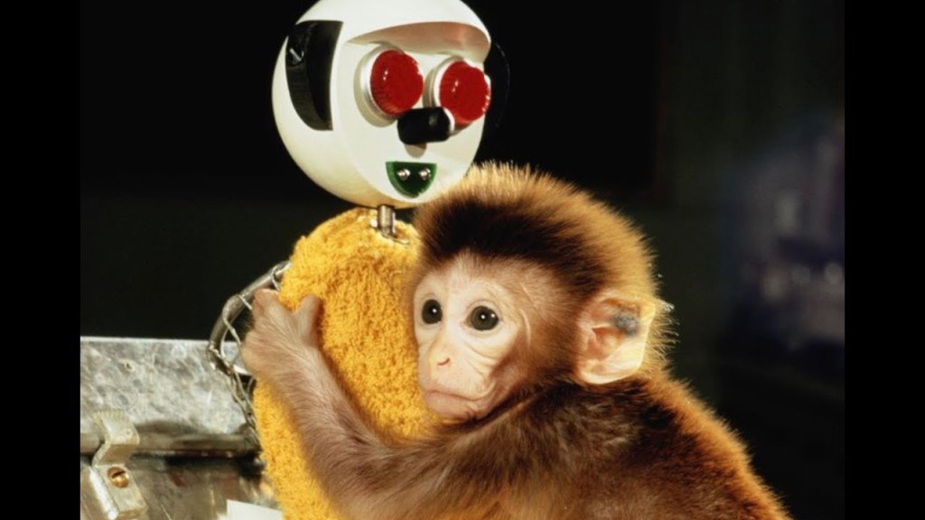 la vita al tempo del&nbsp;coronavirus/4