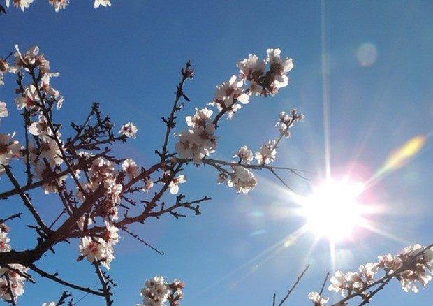 la primavera non è una&nbsp;bugia