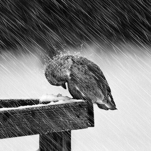 con il coltello tra i&nbsp;denti