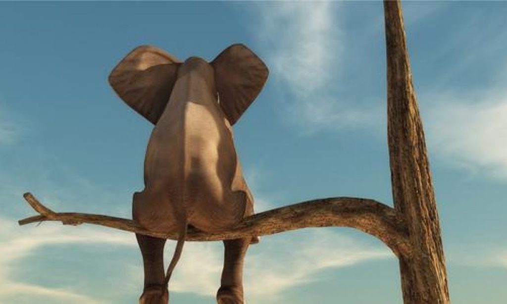 sono giunto ad un&nbsp;punto…