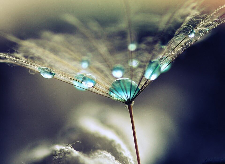 chi ama è&nbsp;vulnerabile