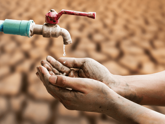 la crisi climatica e le chiacchere da&nbsp;bar