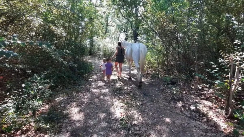 forse servirebbe un po’ di&nbsp;umiltà…