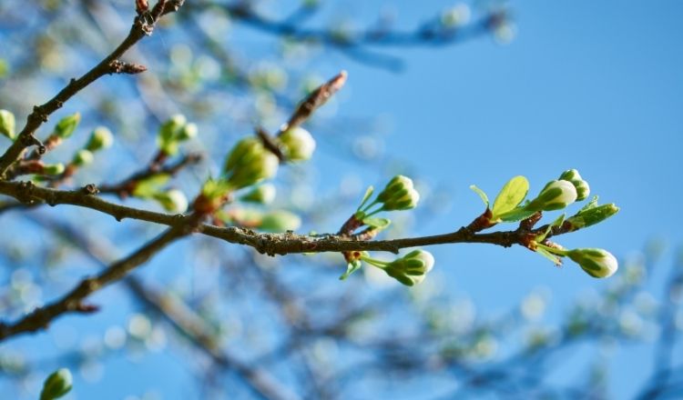 La bellezza di ciò che deve ancora accadere