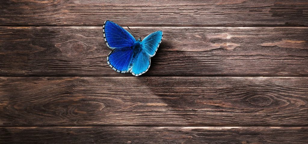 Il ritorno dell’Assente